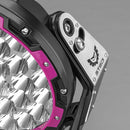 Stedi Type X Pro Rings - Puple (Pair)